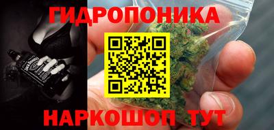 apvp Можга
