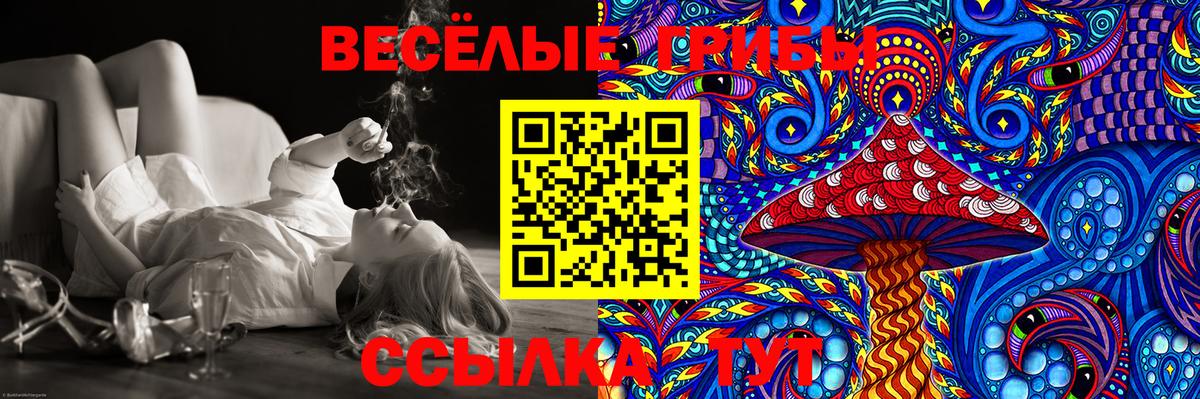 Галлюциногенные грибы Cubensis Партизанск