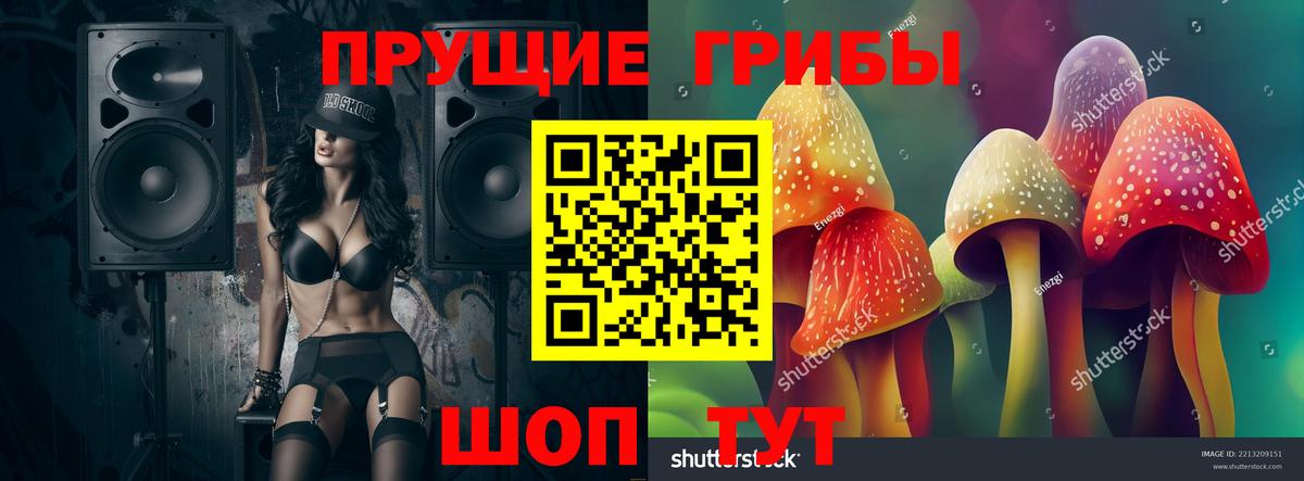 Псилоцибиновые грибы MAGIC MUSHROOMS  Вход с VPN  Партизанск 